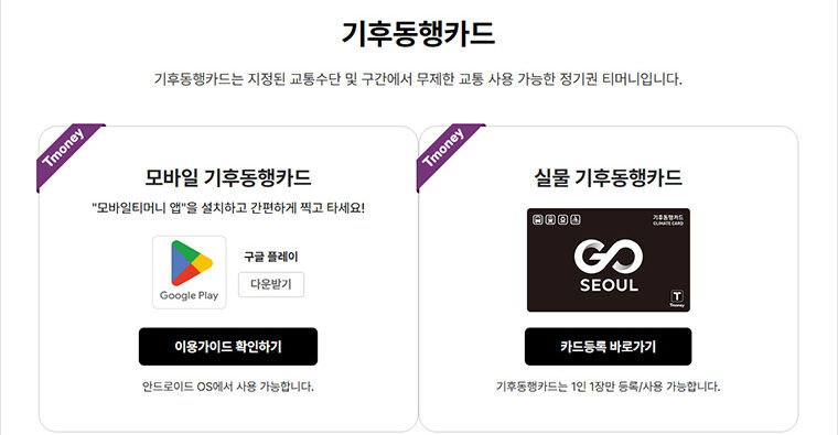 기후동행카드페이백